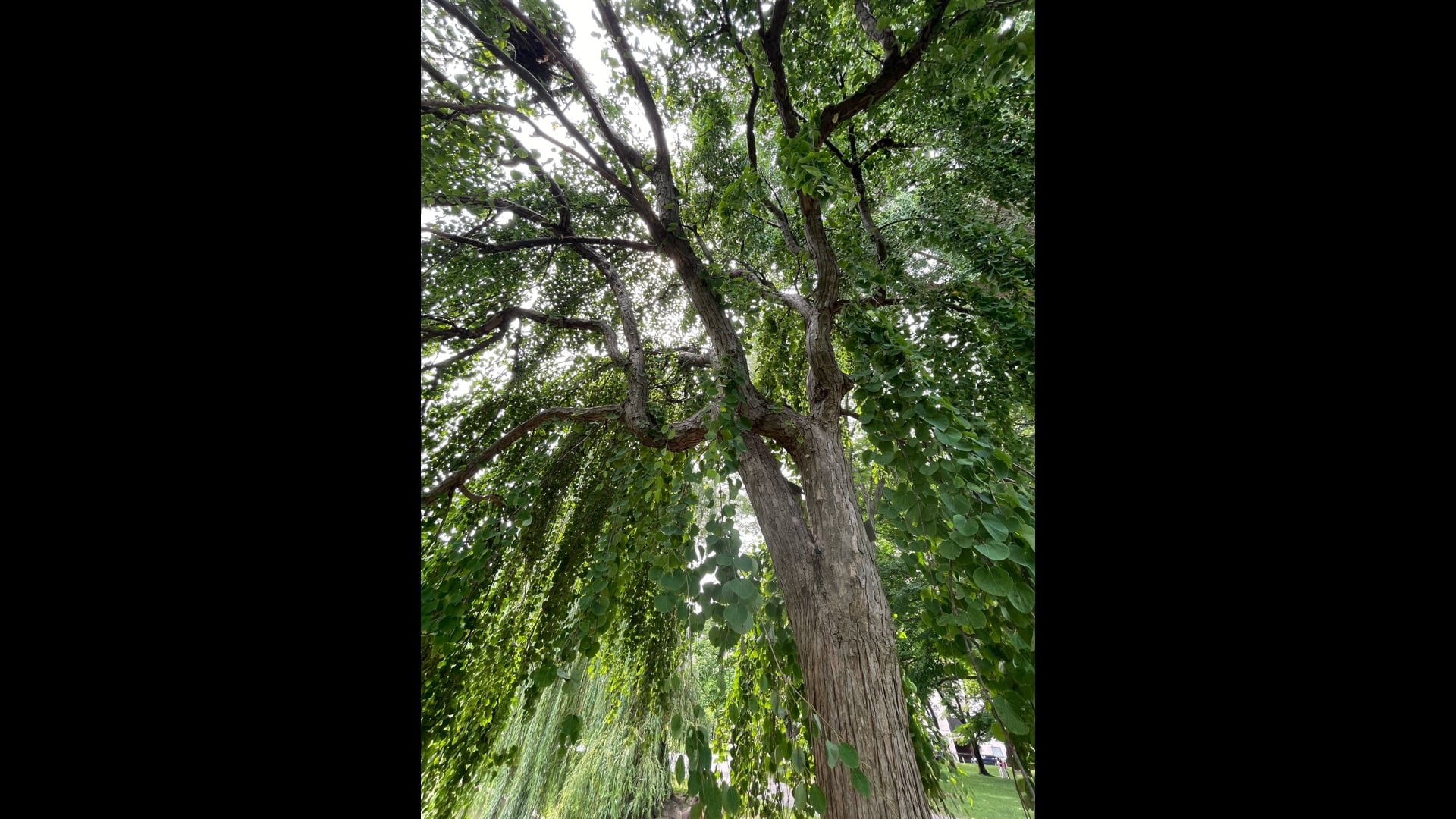 2024 November 11: The Significance of Balanced Energy