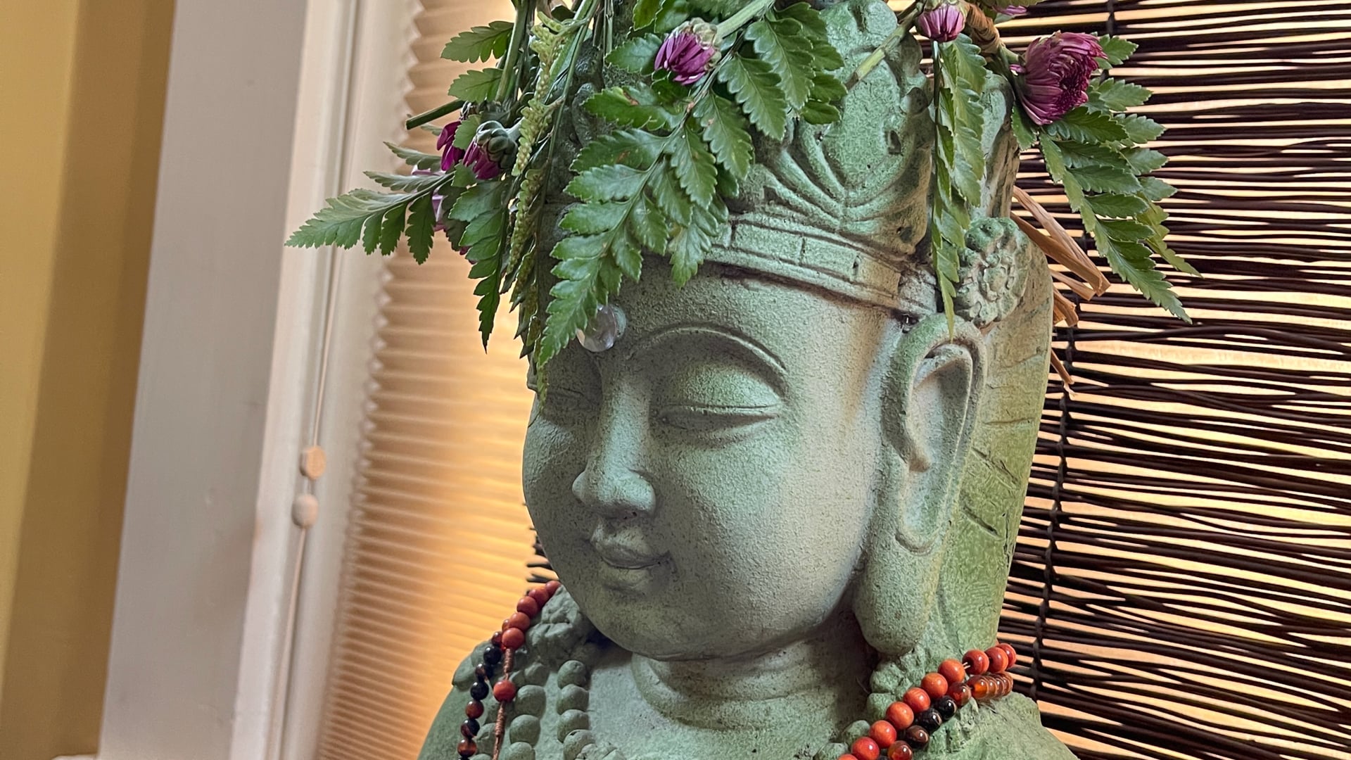 2024 November 14: Sangha Energy!