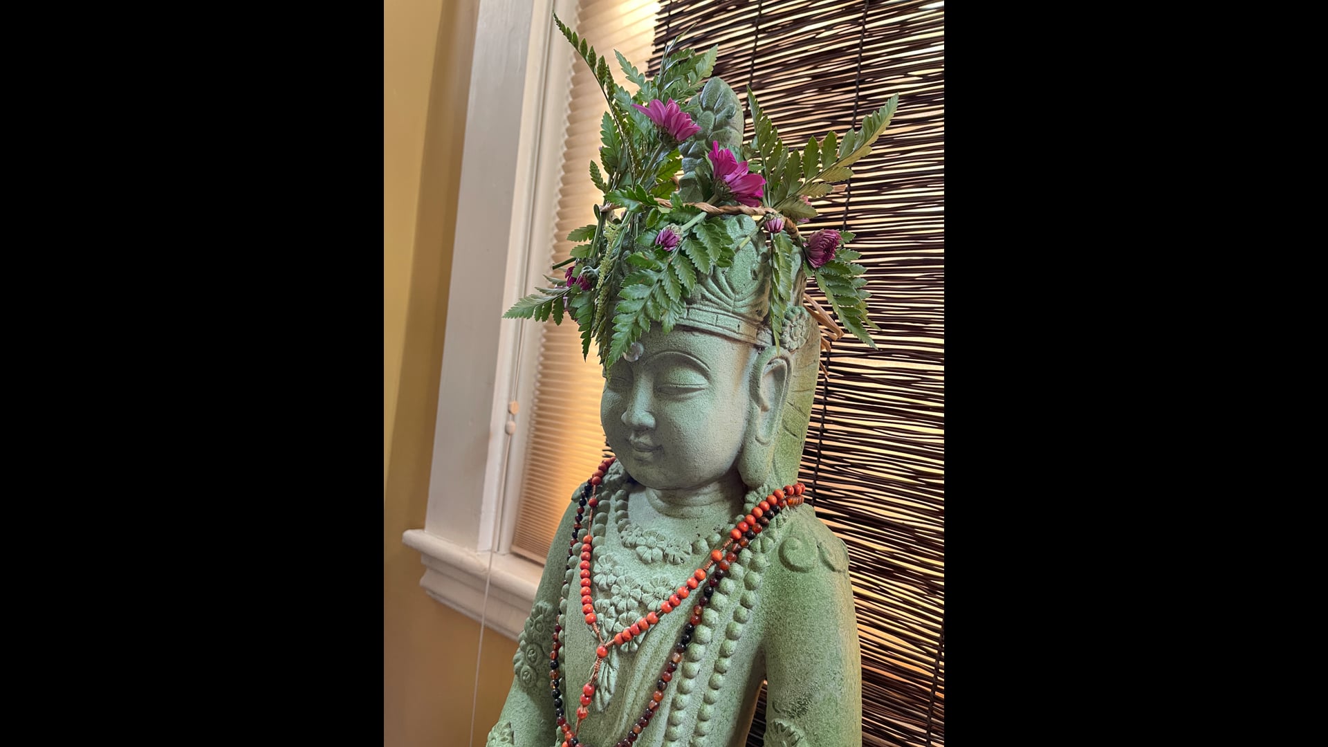 2024 November 14: Sangha Energy!