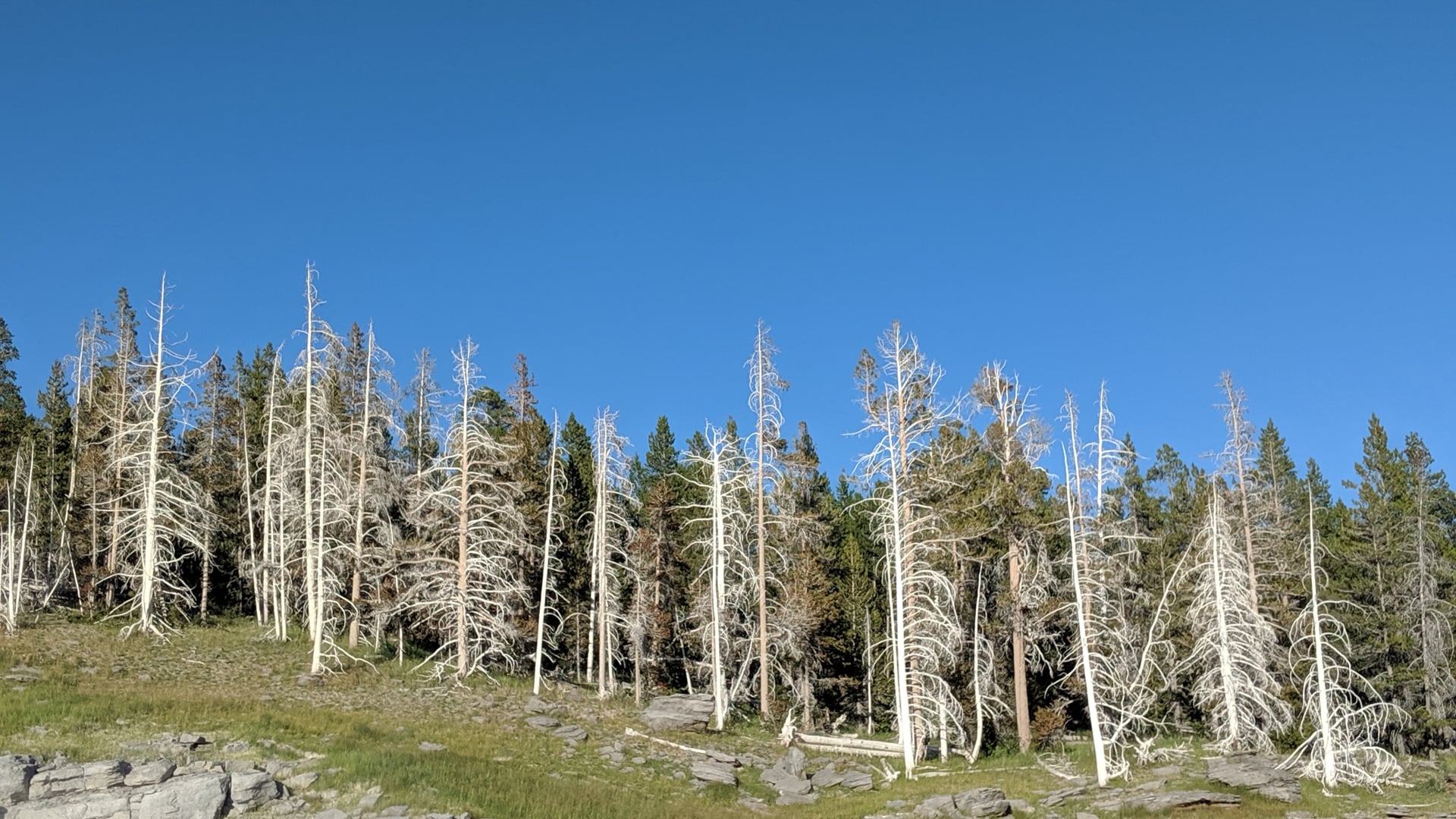 2024 November 20: Mindful Energy Check-ins