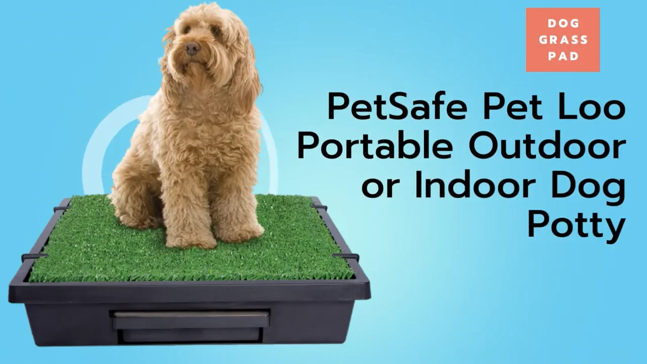 PetSafe Pet Loo