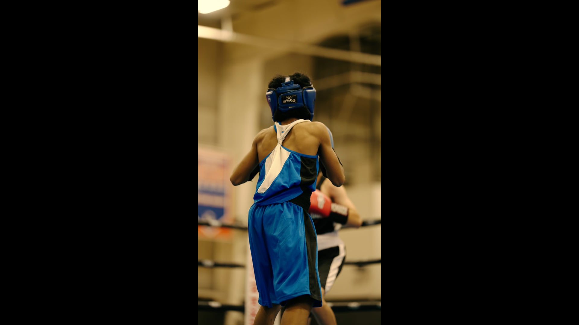 Young Boxers Reel