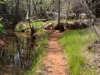 Morning Hike Chavez Ranch 4-11-22