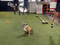 Coach Fitz highlights the relevance of Output Sports for younger athletes