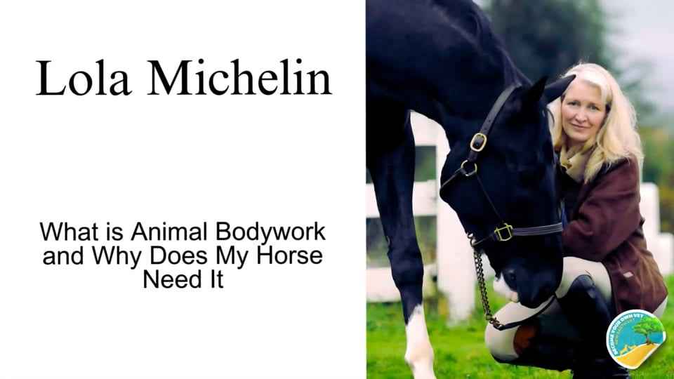 Lola Michelin - What Is Animal Bodywork and Why Does My Horse Need It 