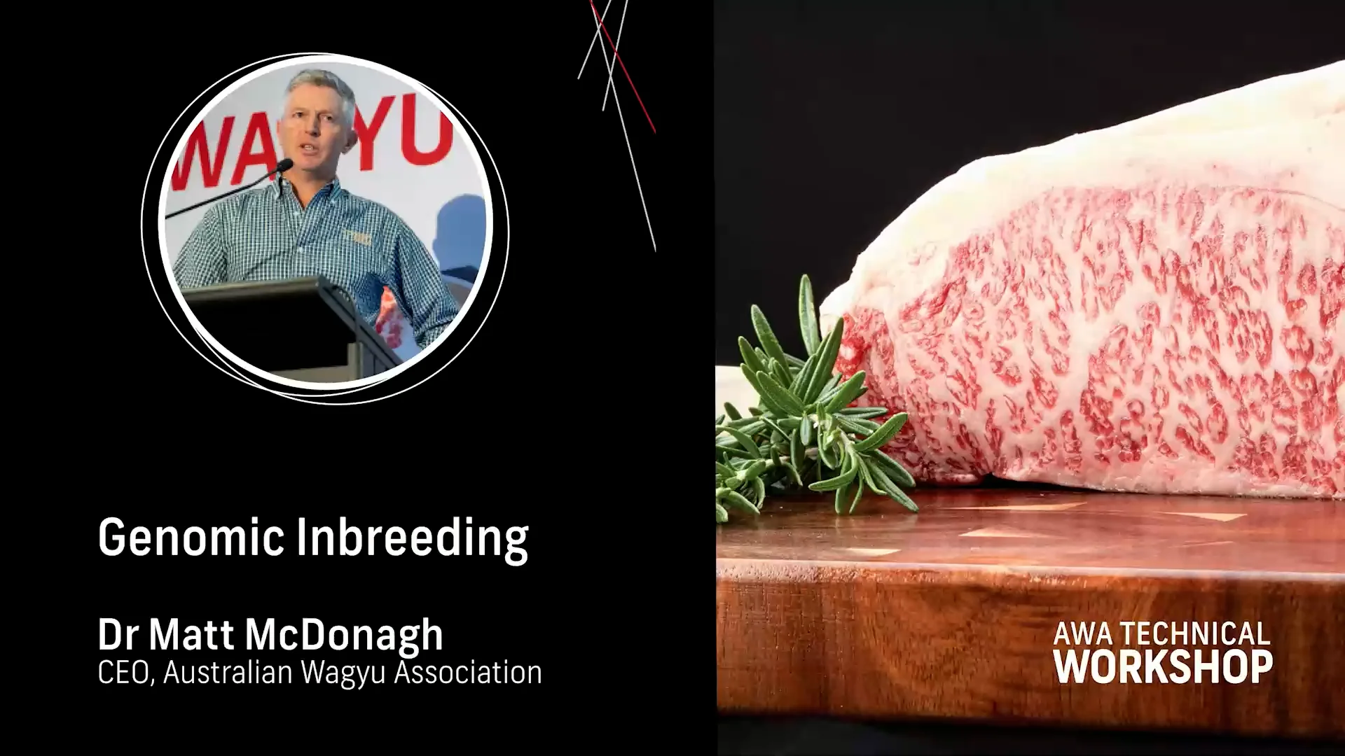 Workshop2024 - Genomic Inbreeding