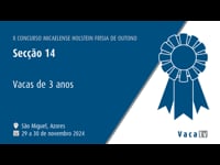 Vacas de 3 años