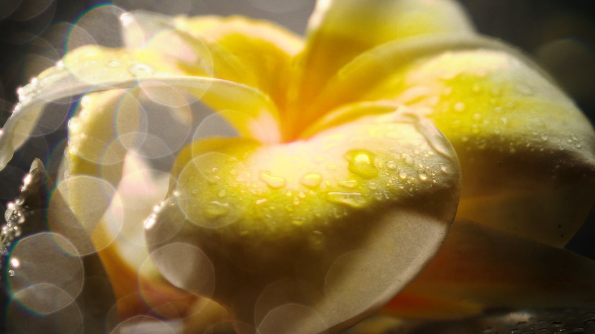 Creamy - Cosmic Love;Electric Heart