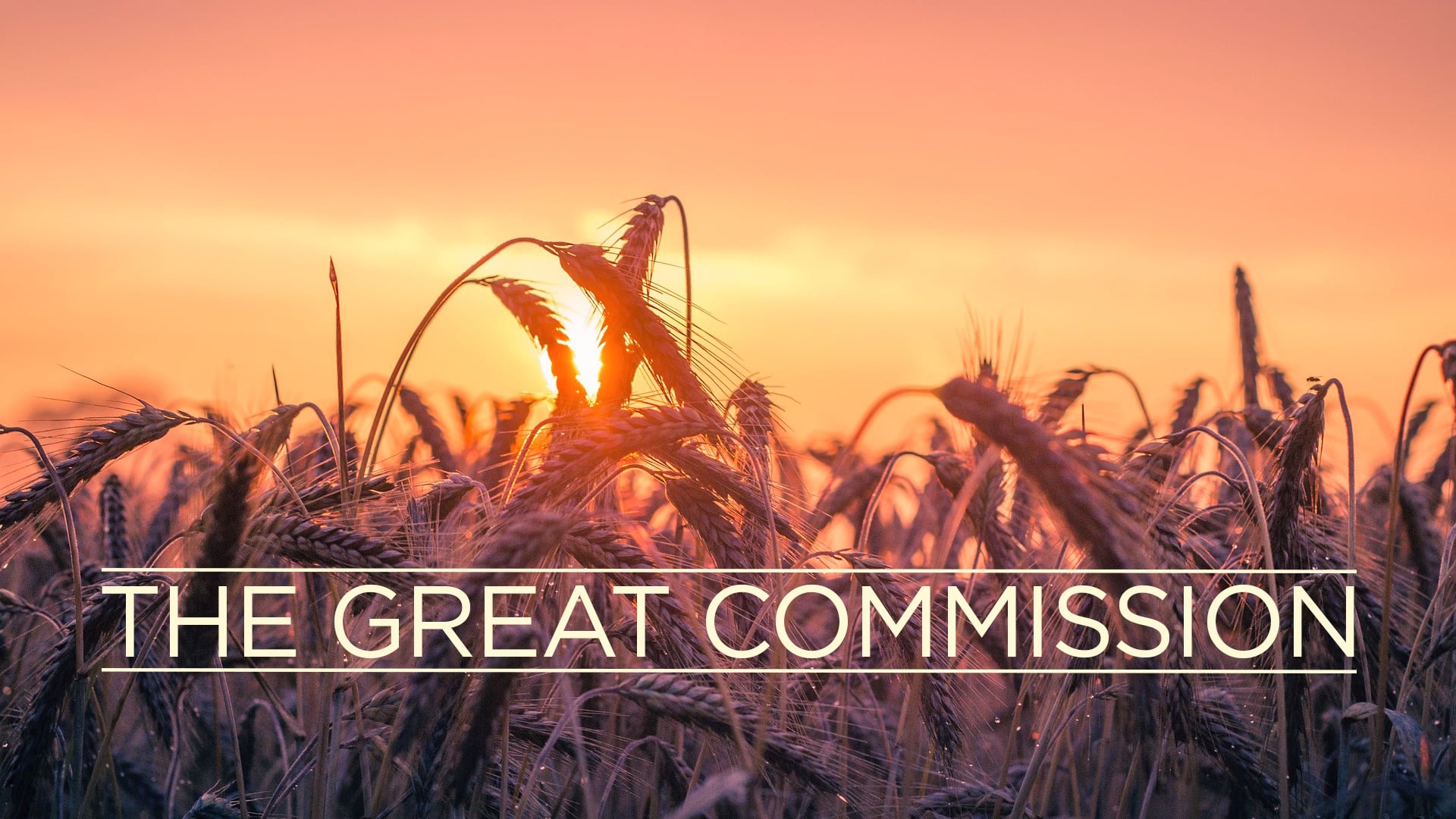Our Purpose - The Great Commission