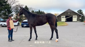 動画サムネイル
