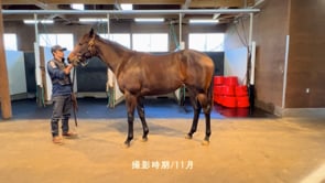 動画サムネイル