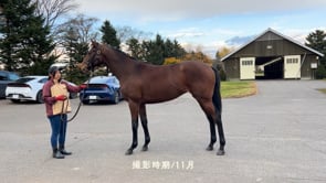 動画サムネイル