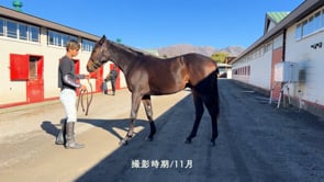 動画サムネイル
