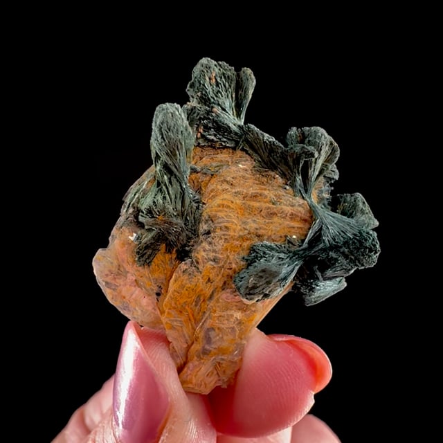 Gormanite (fine crystals) on Muscovite