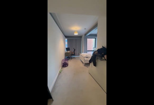 Video 1: