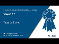 Vacas de 5 años