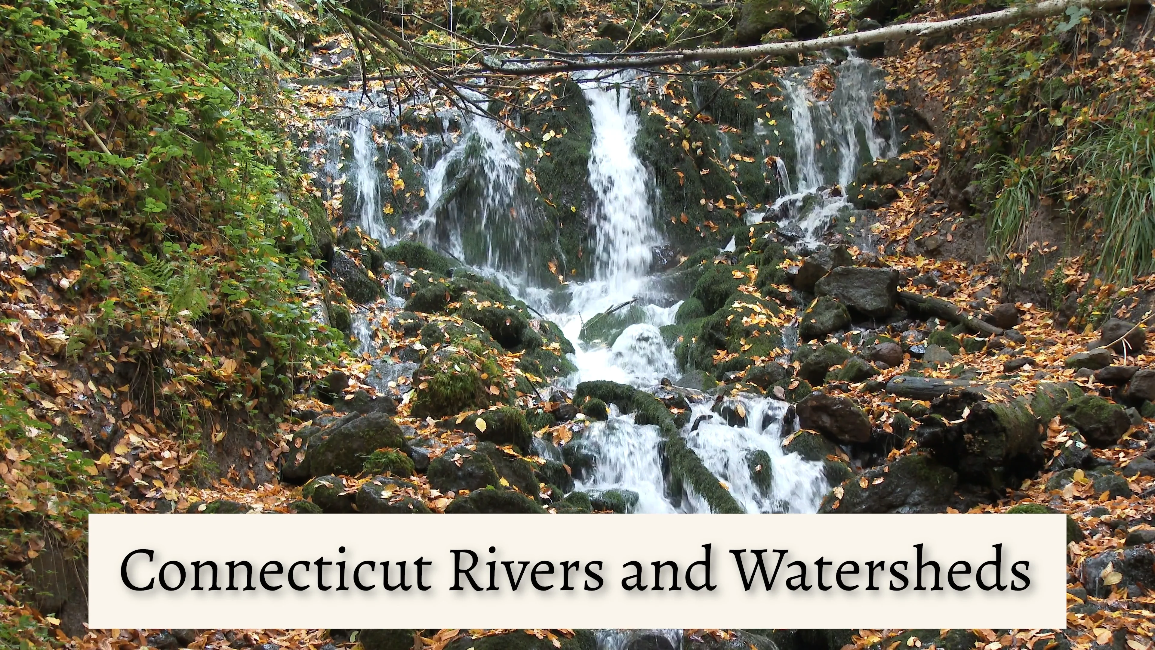 Watershed and Connecticut Rivers