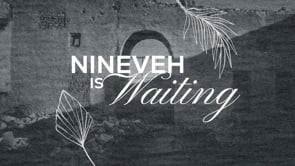 Nineveh Is Waiting