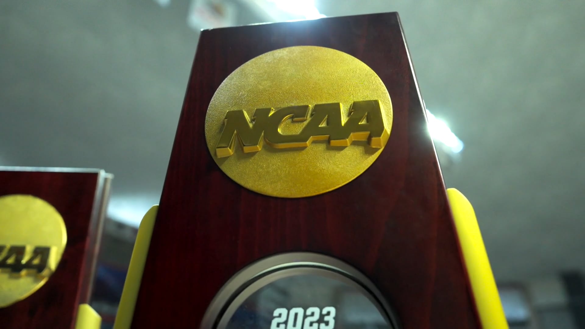 2024 UConn Basketball March Madness Hype Video (Narrated by Rip Hamilton)