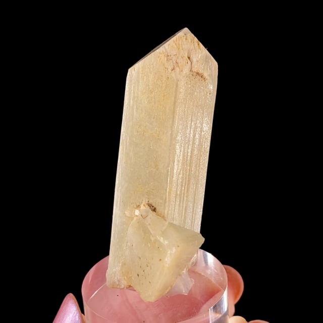 Danburite (fine crystal)