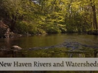 New Haven Rivers Watershed