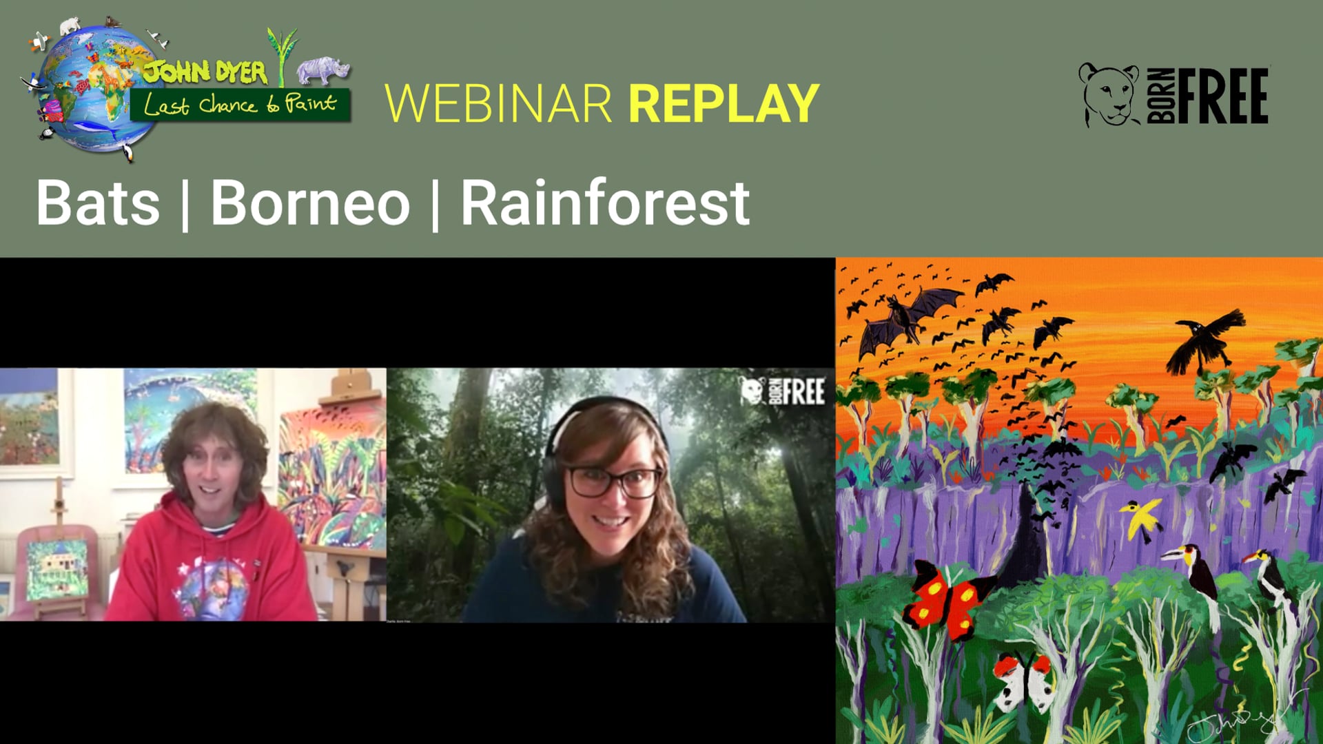 Paint and learn all about Borneo Rainforest Bats!