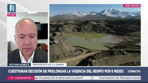 Entrevista a Víctor Gobitz en Canal N