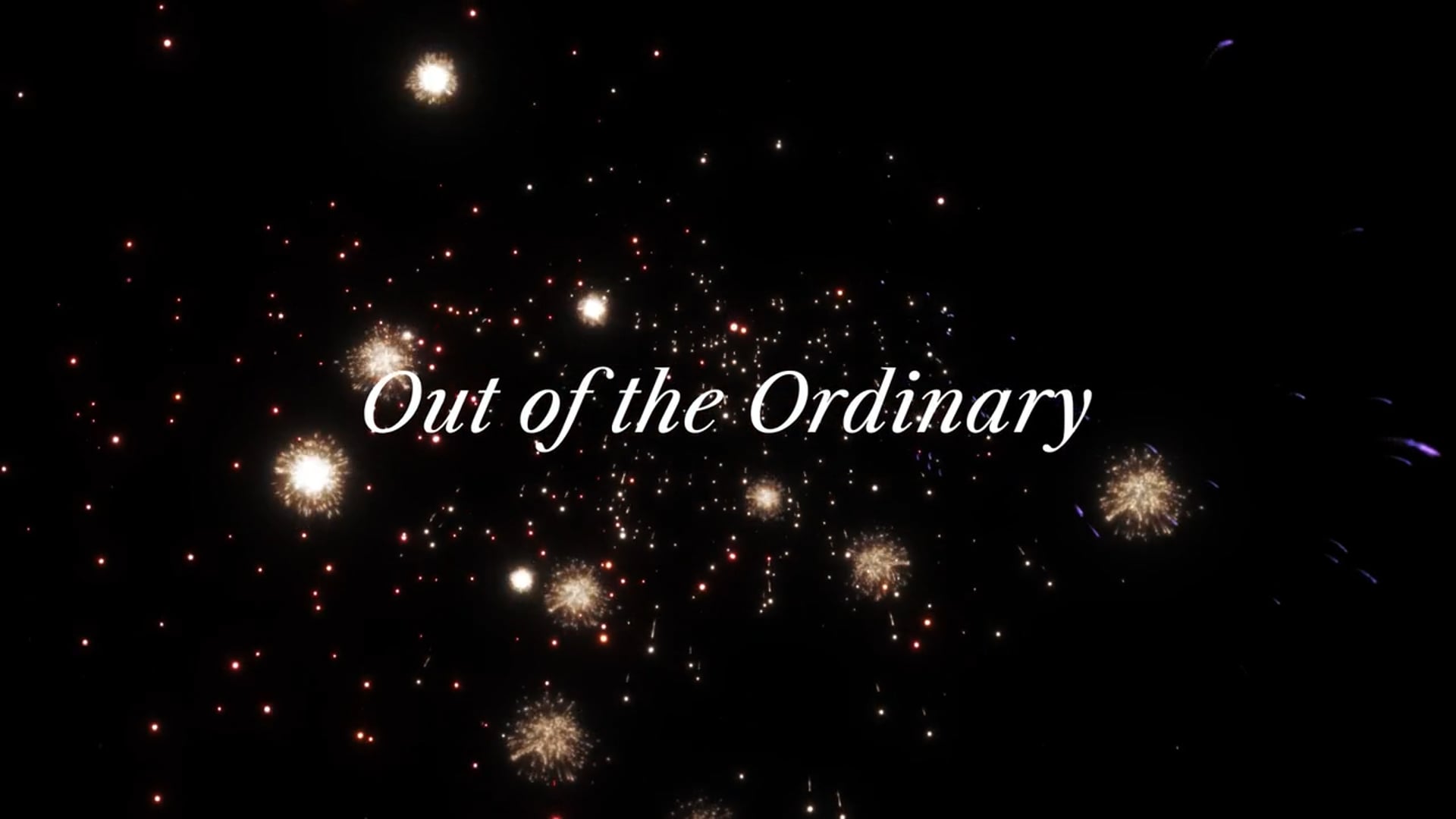 Investec | Quarterly Wrap Up