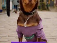 Related Embedded Video Item Thumbnail