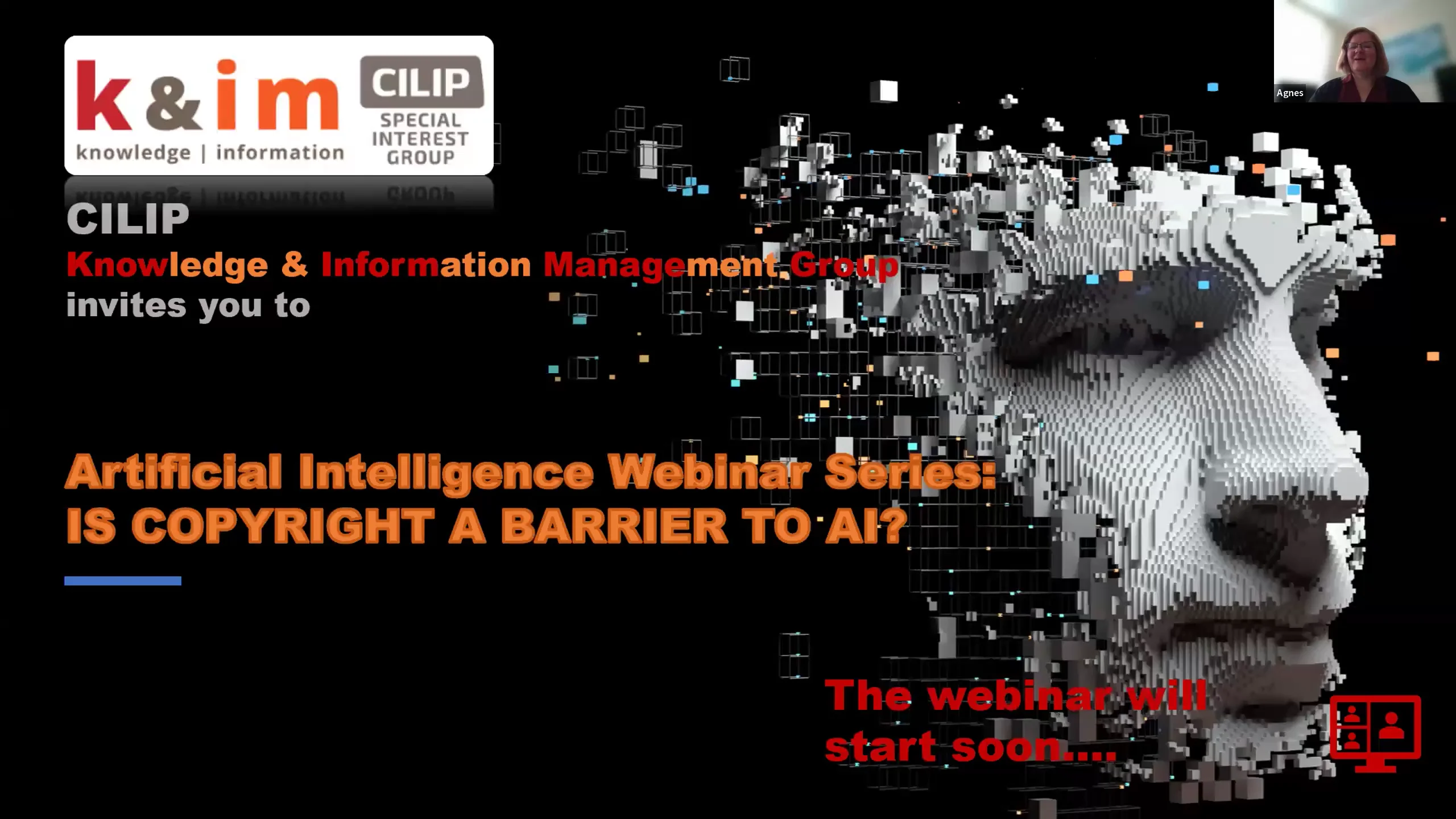 CILIP K&IM Artificial Intelligence Webinar Series: Seminar 3