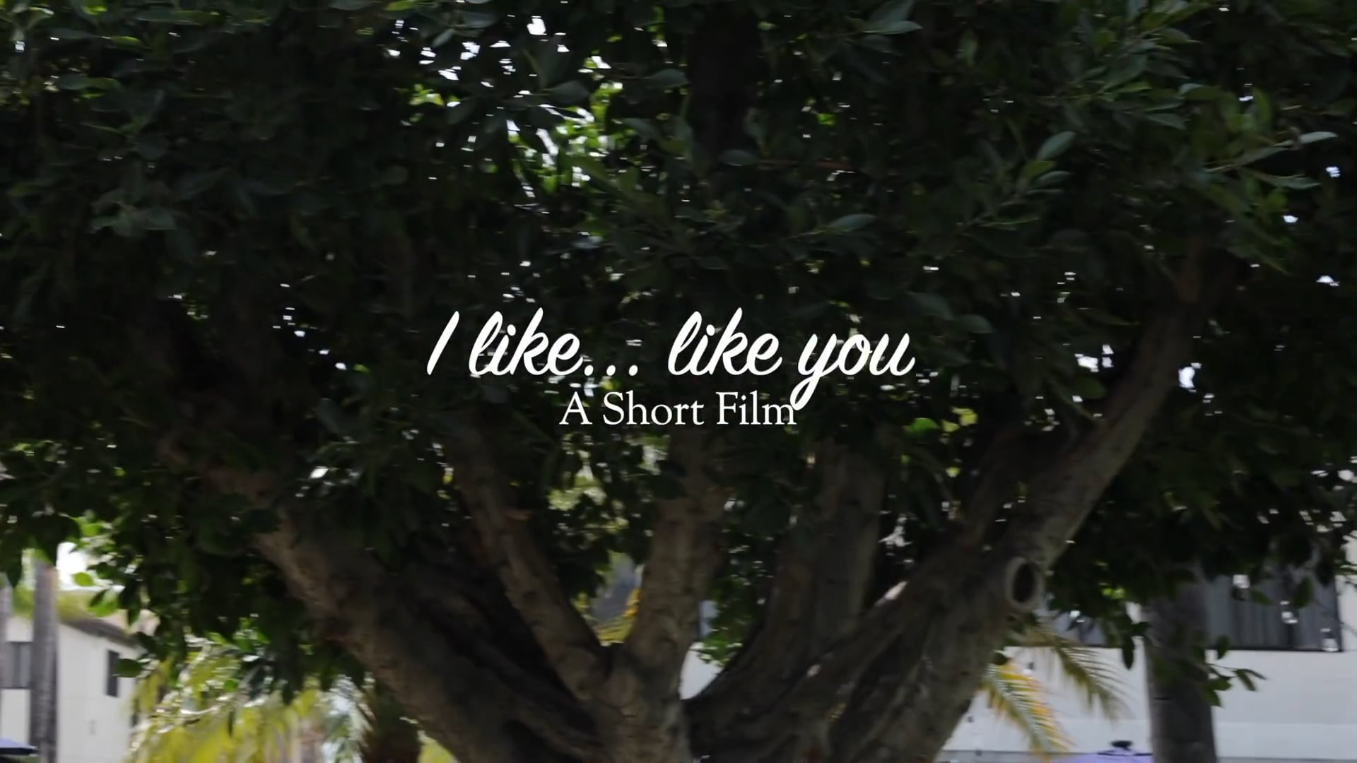 I Like... Like You [Best Picture Transformations Film Festival]