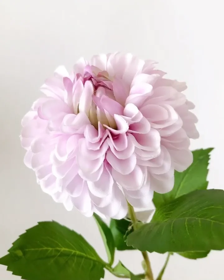 ﾘｯﾁｼﾝｸﾞﾙﾀﾞﾘｱ: 造花（アーティフィシャルフラワー） ｜ YDM