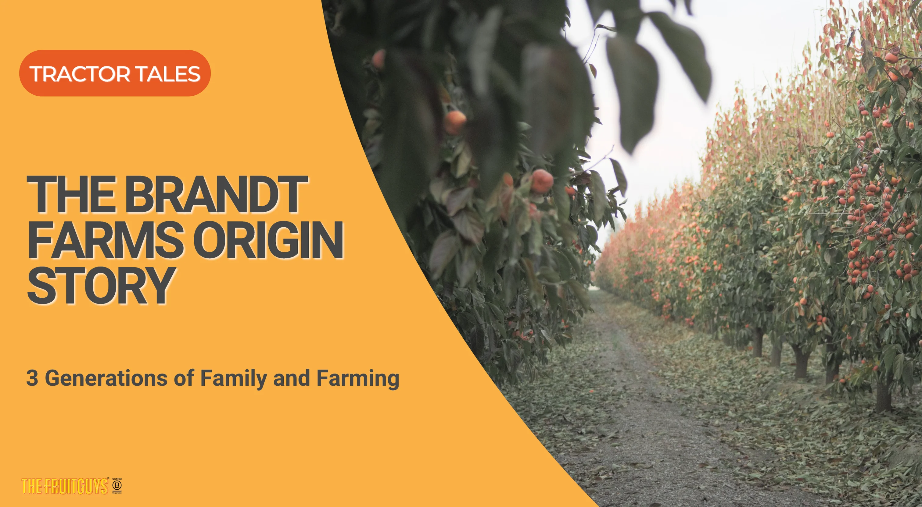 The Brandt Farms Origin Story: 3 Generations of Family and Farming