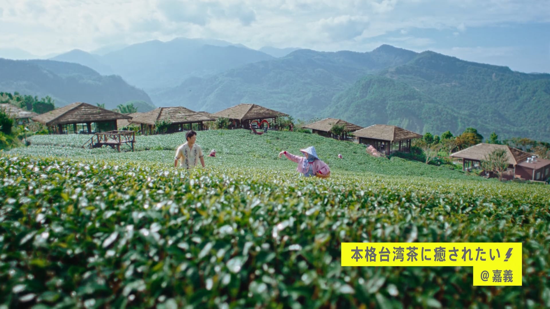 ビビビビ！台湾 CM  『茶畑 篇』