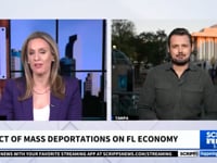 Mattson Newell - Scripps News - Impacts of Deportations On The Economy