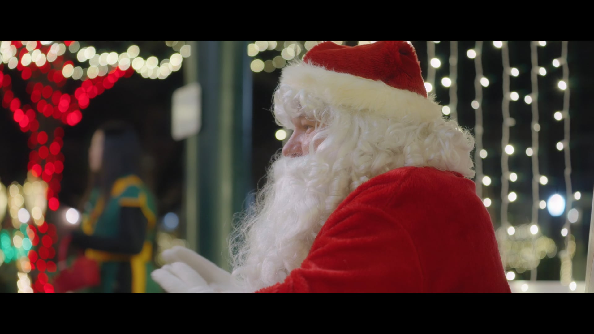 Village of Palatine Tree Lighting Ceremony | Highlight