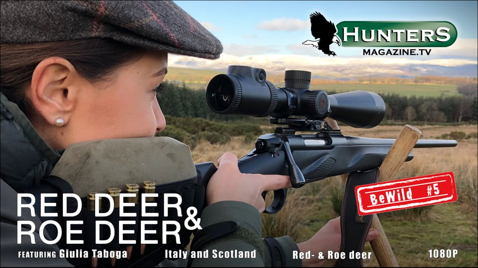 Be Wild #5 - Red deer & Roe deer