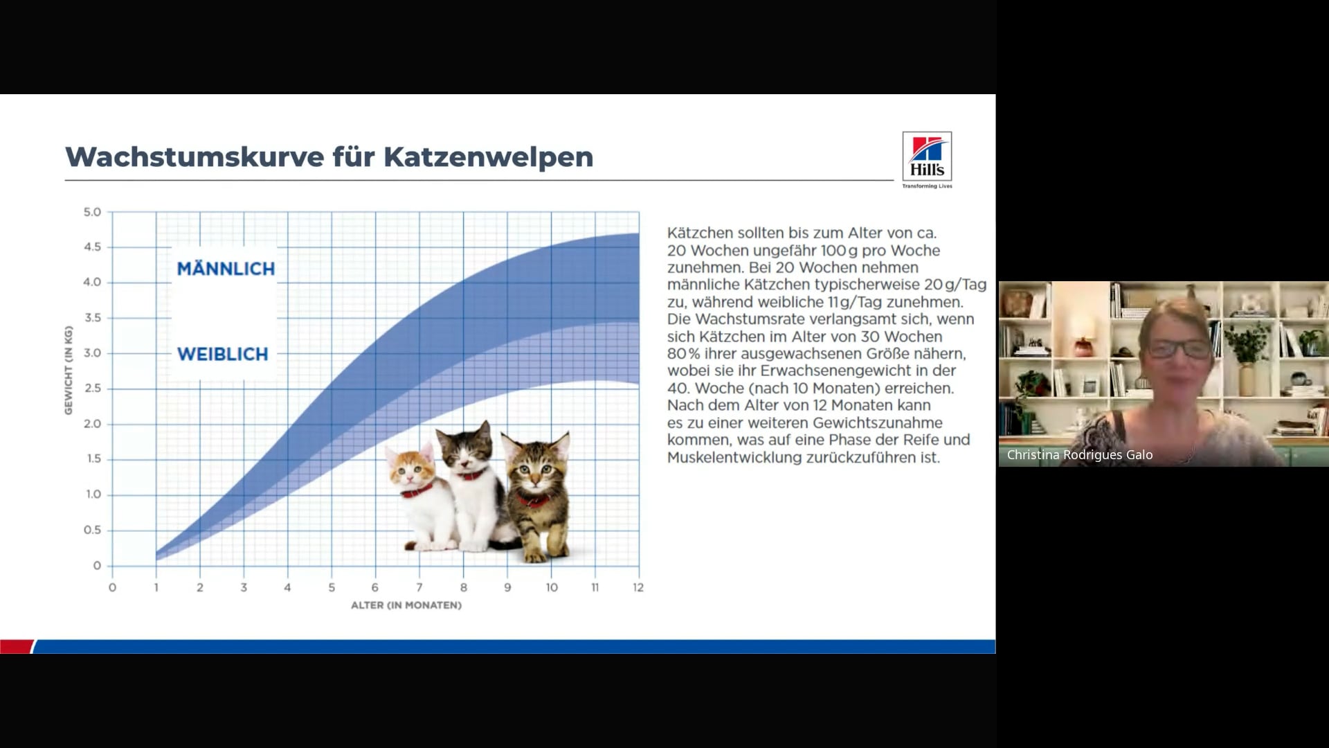 Hill’s – Aufbaukurs Ernährungsberatung Katze - Modul 1 - Teil 2