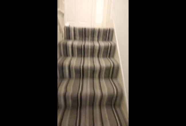 Video 1: