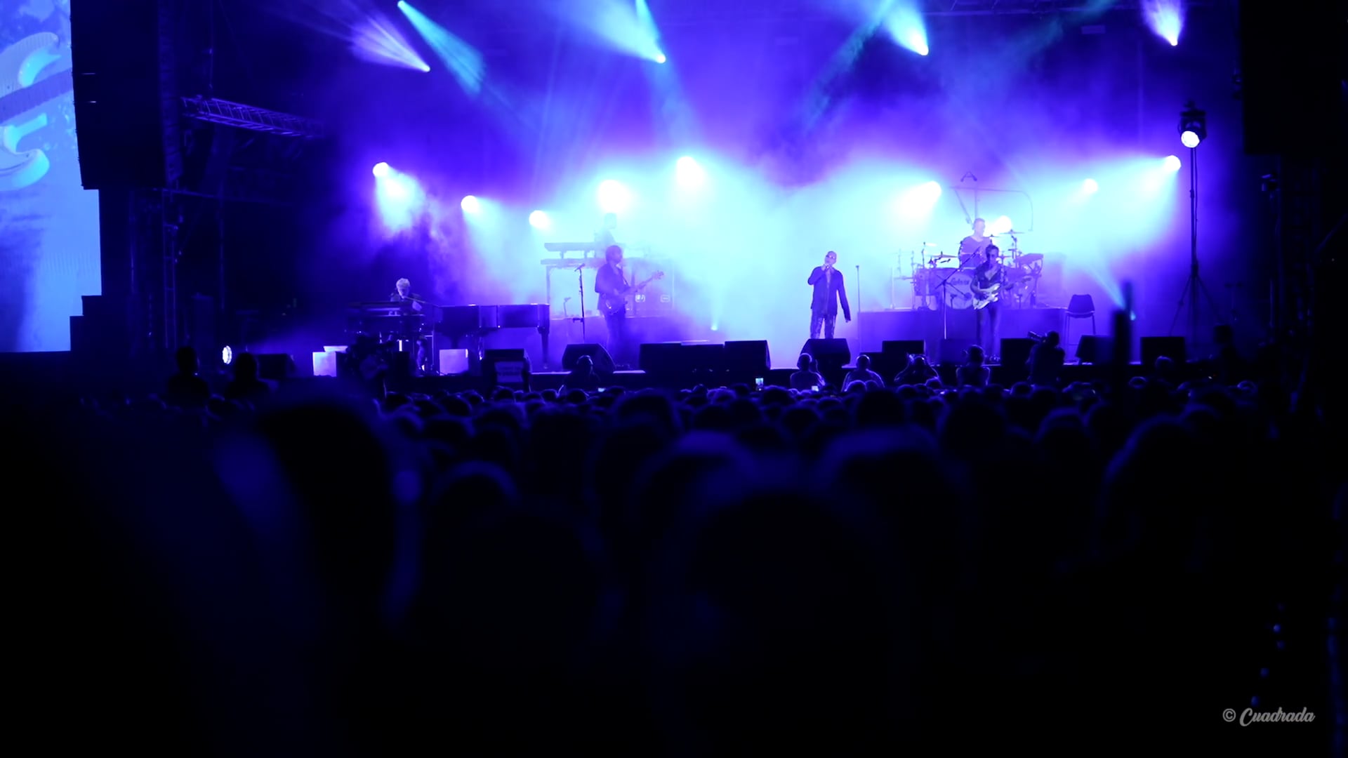 Shows