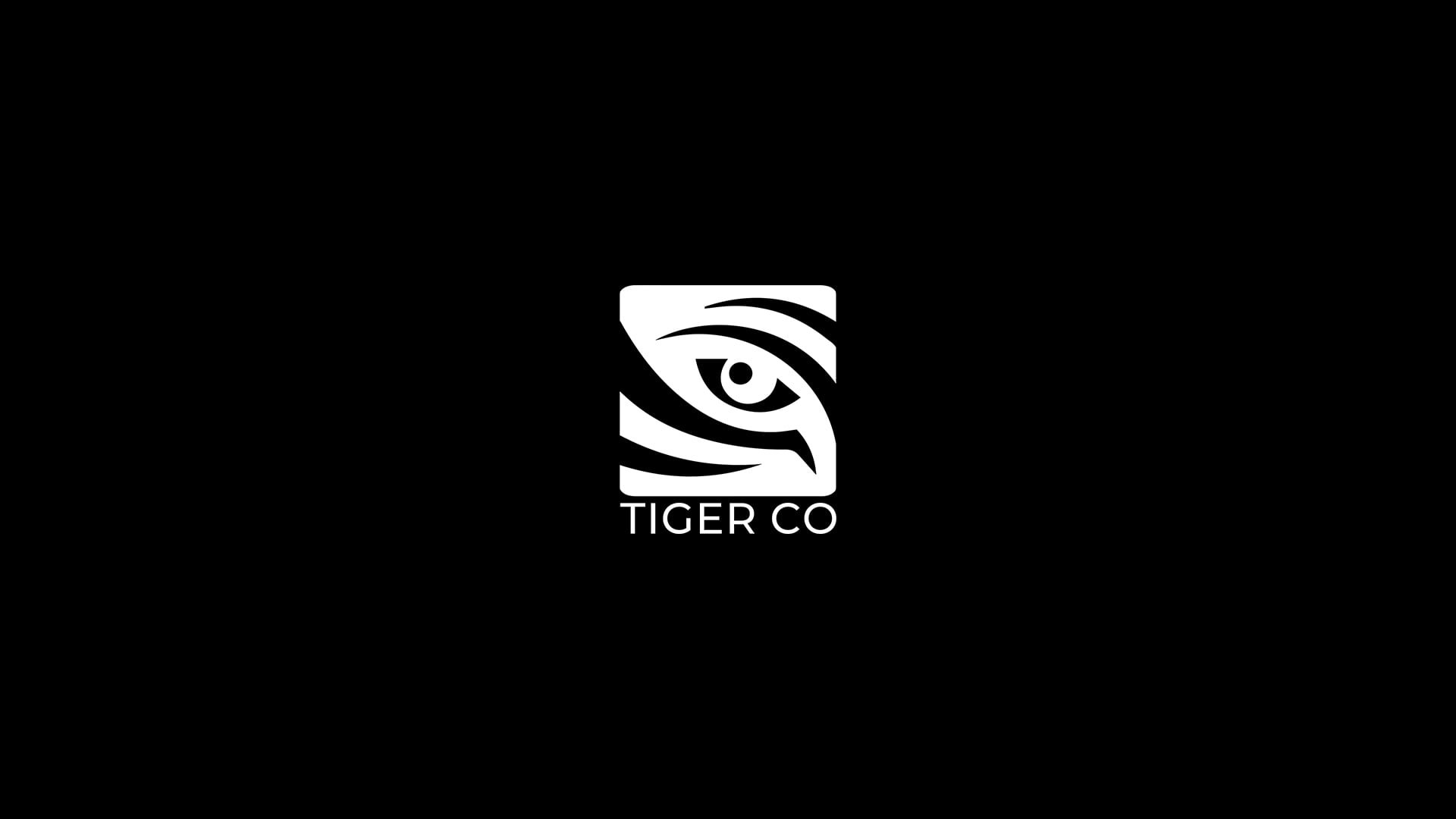 Tiger Co 2025 Showreel 4K