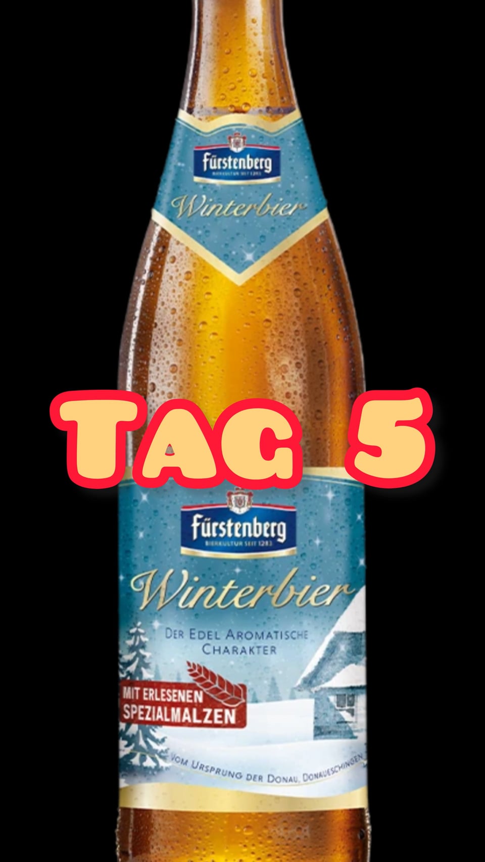 Türchen Nr. 5 Fürstenberg Winterbier