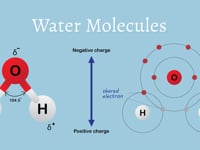 Water Molecules