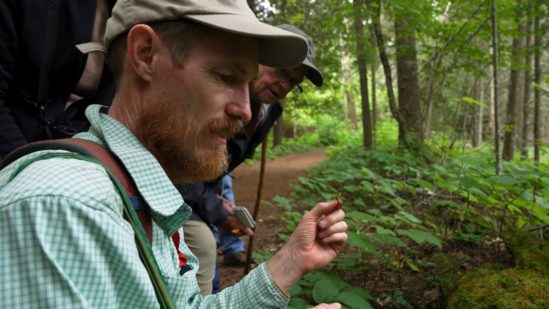 Ridge And Swale: The Rivet Effect-Biodiversity