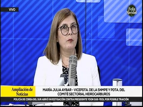 Entrevista a María Julia Aybar en RPP TV Noticias