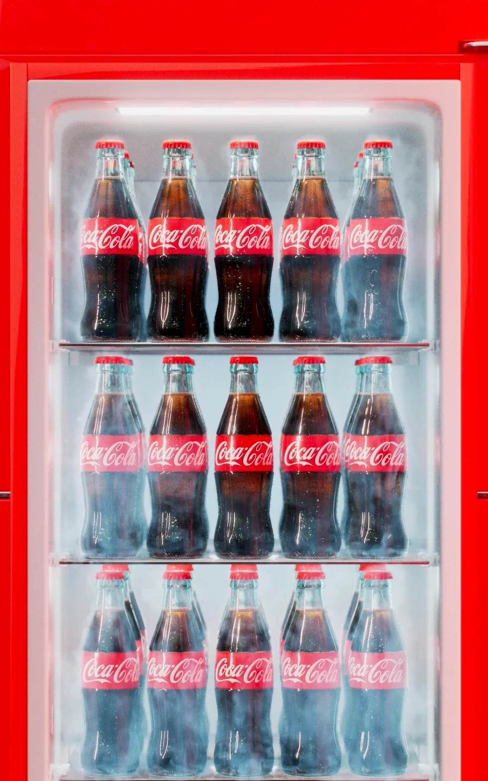Coca-Cola Case Study — Giant Ant