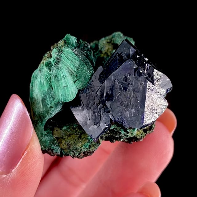 Azurite (excellent crystals for the locality) with Malachite