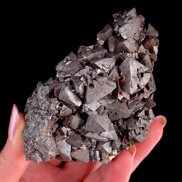 Magnetite (excellent rare locality specimen)