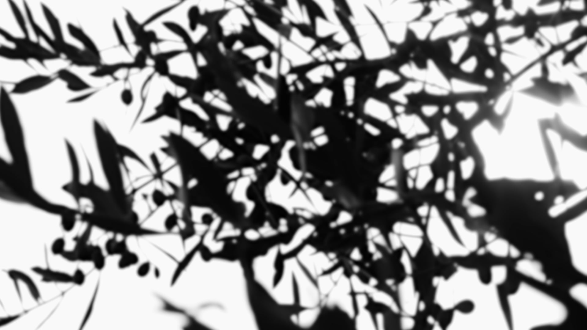 Casabath - KEMP STUDIO