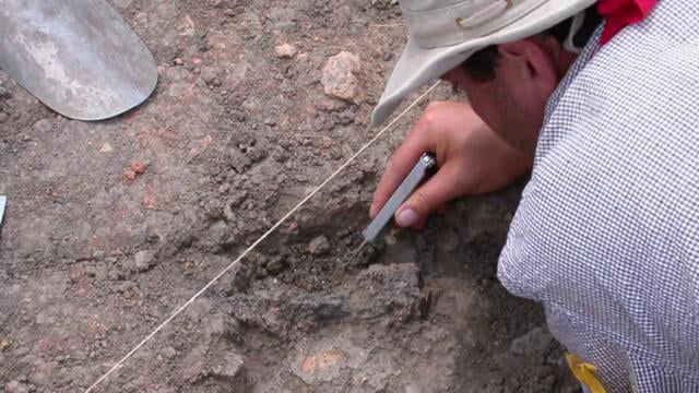 Science at FMNH - Discovering Early European Societies